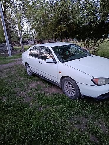 elgrand e51: Nissan Primera: 2000 г., Ручные, Хэтчбэк — 2