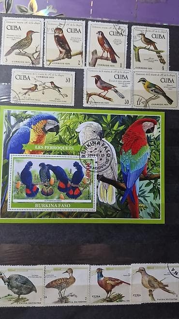 Көркөм өнөр жана коллекциялоо: Коллекция почтовых марок с орнитологической и микологической — 3