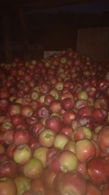 переносной шкаф для одежды: Яблоки Оптом — 2