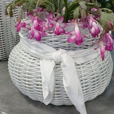 Садовые инструменты и инвентарь: Изделия из ротанга.Принимаем заказы звонить на номер — 10