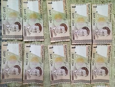 часы купить: Коллекция банкнот Кыргызстана (сом): - Номиналы: 10 сом (2 шт. — 4