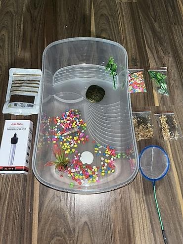 Животные: Черепахи 6-7 см Продается набором также отдельно Комплектация: - — 1