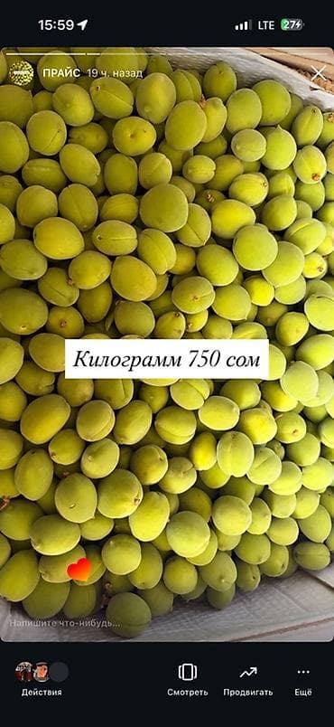 арбуз алам: Абрикосы В розницу — 5