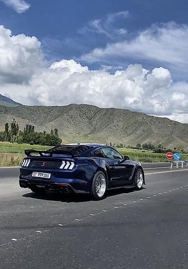 разноширокие: Ford Mustang: 2019 г., 2.3 л, Автомат, Бензин, Купе — 2