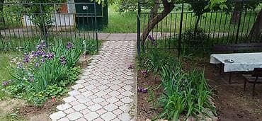 ош суточные: Коттедж, Золотые пески, Бостери — 3