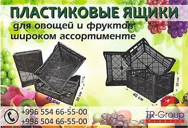 Пластиковый Ящик, Новый