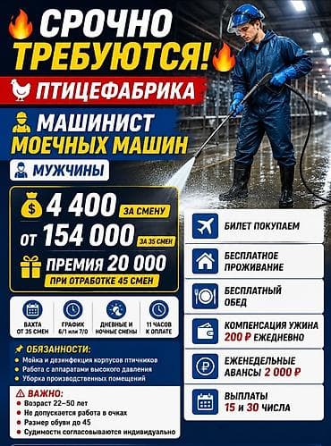 вакансия прачка: 🔥 СРОЧНО ТРЕБУЮТСЯ! 🔥 🐔 ПТИЦЕФАБРИКА 👷‍♂️ Машинист моечных машин 👨 — 1