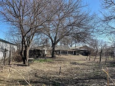 кок джар ж м: 11 соток, Бизнес үчүн, Кызыл китеп, Техпаспорт, Сатып алуу-сатуу келишими — 5