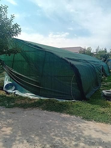 Теплицы: Продаю теплицу, рассадник, парник длинна 18 м, ширина 10,5 метров — 6