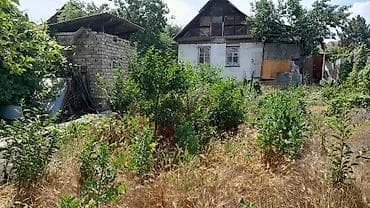 село виноград: 5 соток, Для строительства — 1