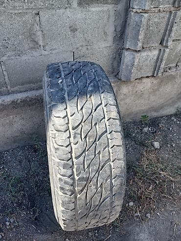 летный: Летняя шина для внедорожника/кроссовера - Модель: Bridgestone Dueler — 1