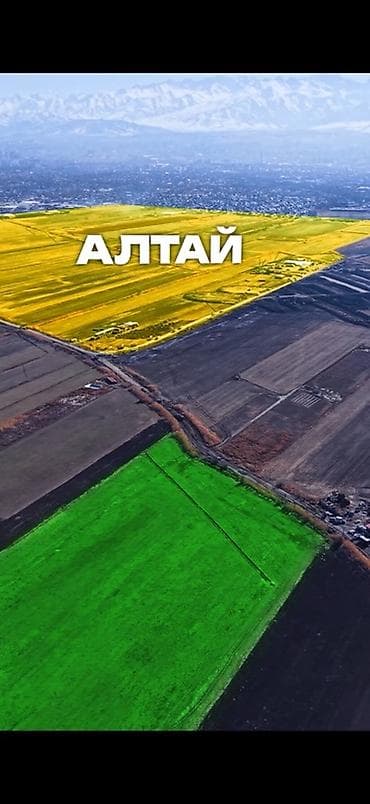 свет сокулук: Для бизнеса — 3
