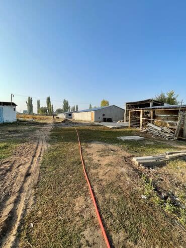 продажа домов в дмитриевке: 35 соток, Для сельского хозяйства, Красная книга — 11