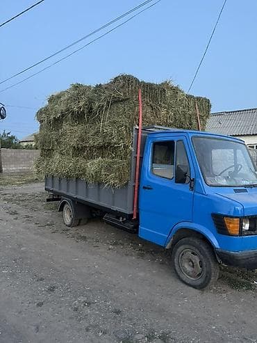 купить тюк солому: Сено в тюках/кирпичах для сельхозживотных. - Натуральное луговое — 1