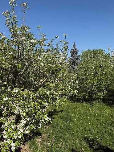 гараж ахунбаева: Продаётся частный дом Арча Бешик от Ахунбаева 300 метров, новая — 7