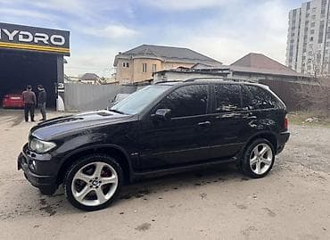 BMW X5: 2004 г., 4.4 л, Автомат, Бензин, Внедорожник