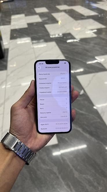 mac studio: IPhone 13 Pro, Б/у, 256 ГБ, Sierra Blue, Защитное стекло, Чехол, 95 % — 2