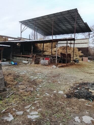 навапавловка дом: Дом, 200 м², 5 комнат, Собственник, Евроремонт — 4