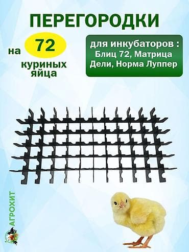 scottish fold: Перегородки для куриных яиц Блиц-72, Дели, Луппер 72 яиц так же есть — 2