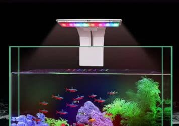 домик для животных: Продаю фильтр, домик, светильник — 3