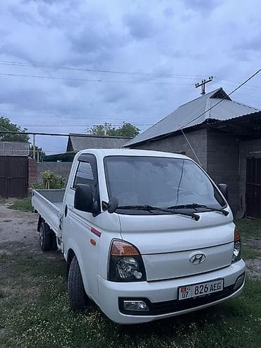 цепи для колёс: Легкий грузовик, Hyundai, Дубль — 1