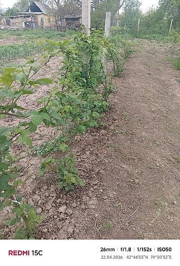 участок фурхат: Село Сарбан,
джал улица средняя 24 (автобус 23) — 8