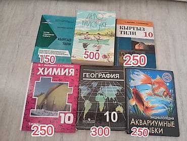 third edition solution: Кыргызский язык, 10 класс, Б/у, Самовывоз — 1