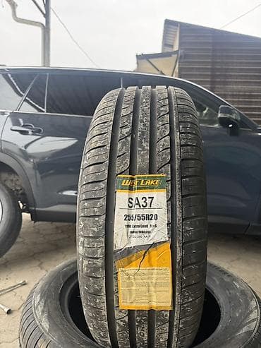 5 114 3 r19: Шины 255 / 55 / R 20, Лето, Внедорожные (АТ/МТ), WestLake — 1