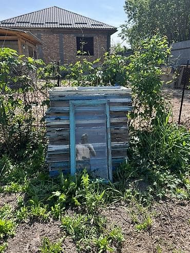 сервант рижский: Старое деревянное окно отдам даром — 2