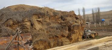 седло для осла: Сено в тюках для кормления скота. - Заготовка из горных трав: - — 3