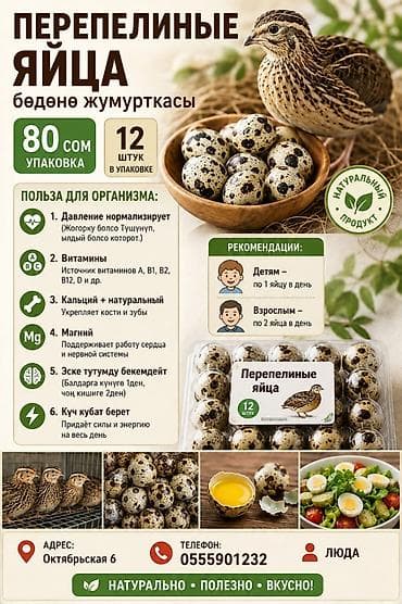 Перепелиные яйца — натуральный продукт Упаковка: 12 штук Цена за lalafo.kg да Перепелиные яйца — натуральный продукт Упаковка: 12 штук Цена за
