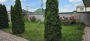 дом земельный: Срочно продаю дом 2 этажа + подвал Дом 320м2, Участок 8 соток — 9
