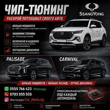 ej de: Чип-тюнинг автомобилей SsangYong, Hyundai Palisade и Kia Carnival Что — 1