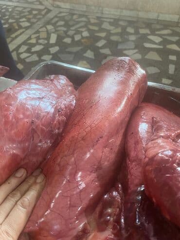 кошачий корм оптом бишкек: Отходы для собак свежие с доставкой — 2