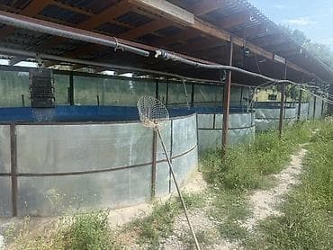 Оборудование для бизнеса: Продажа бизнеса Пищевая промышленность, Вместе с: База клиентов и поставщиков, Интернет-ресурсы, Оборудование и мебель — 3