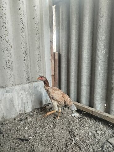 6-7 месячные всё хорошо с ними не болеют