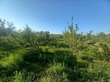 продаю дом с джал: 10 соток, Для бизнеса, Красная книга — 3