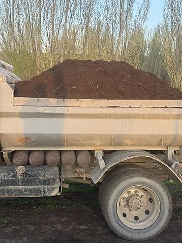 Заказать Камаз, Доставка щебня, угля, песка, чернозема, отсев