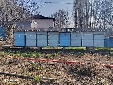 Үй жана бакча үчүн башка буюмдар: Жыгач Ящик — 2