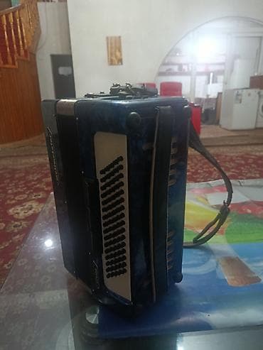 Аккордеоны: Аккордеон с клавиатурой пианино, сине-перламутровый корпус — 4