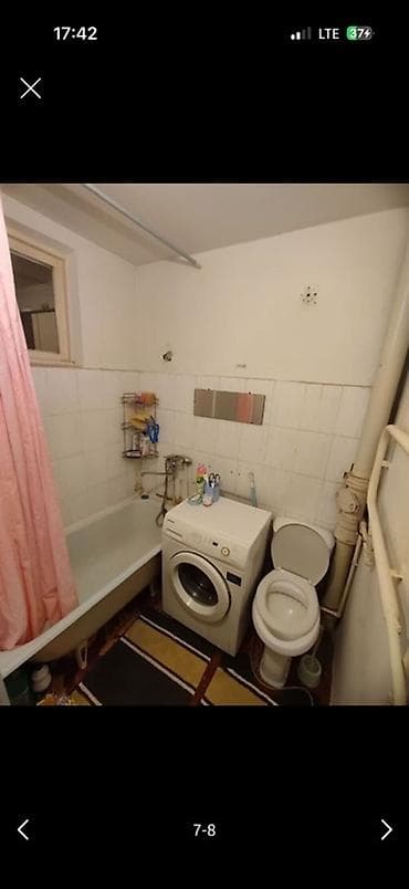 1: Таза тыкан 3 бала же кыздар керек — 1
