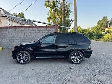 ex5 weltmeister: BMW X5: 2003 г., 3 л, Дизель, Кроссовер — 5
