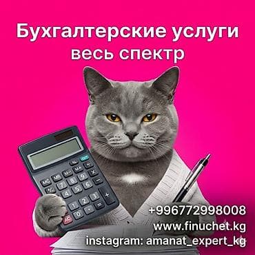 305: Бухгалтерские услуги | Подготовка налоговой отчетности, Сдача налоговой отчетности, Консультация — 1