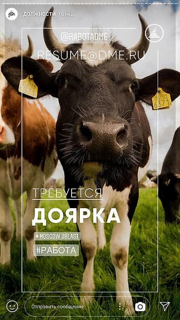 Фермерскому хозяйству требуются доярки, скотники, механизаторы at lalafo.kg Фермерскому хозяйству требуются доярки, скотники, механизаторы