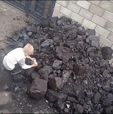 угольный брекеты: Уголь Шабыркуль с доставкой по Бишкеку — 5