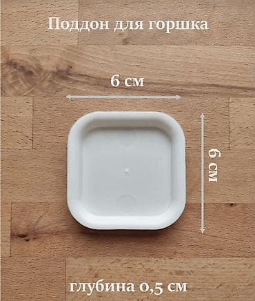 Горшки для растений: Комнатные растения для очищения воздуха в помещении и уюта — 4