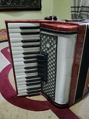 гитаа: Аккордеон (пятиклапанный регистр, классическая компоновка) - — 3
