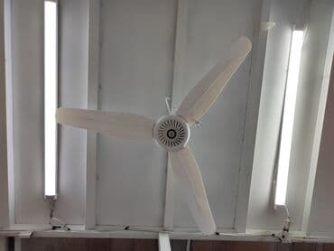 вентилятор осевой: Вентилятор Потолочный, Лопастной — 8