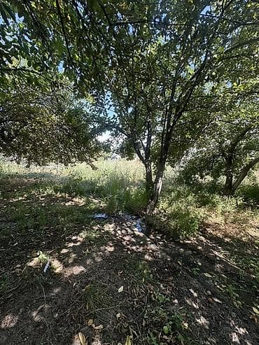 Продажа участков: 6 соток, Для строительства, Красная книга — 5