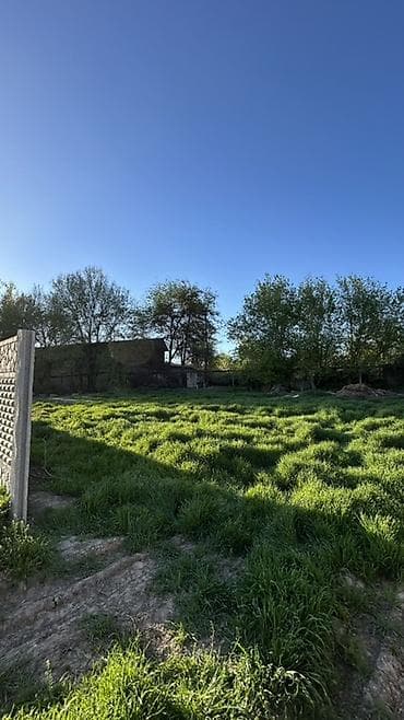 с арчалы: 5 соток, Для строительства, Красная книга, Тех паспорт, Договор купли-продажи — 3